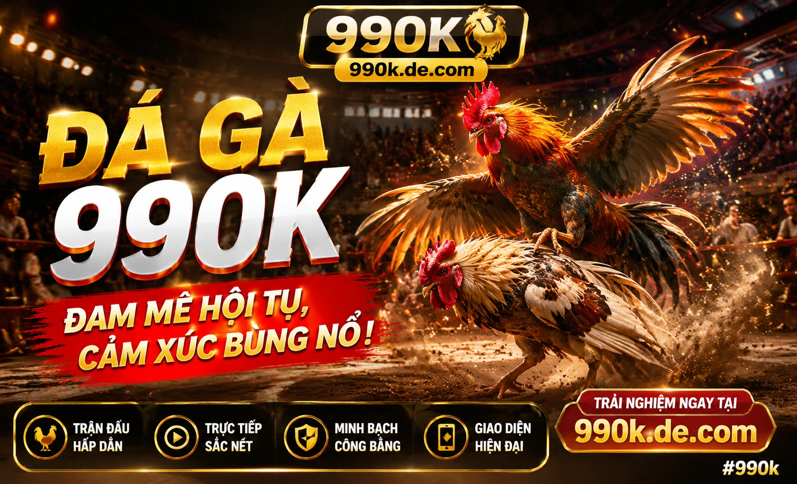 Trường Gà sáng nay 990K